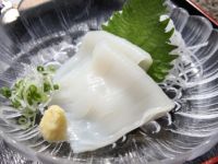 するめいか2